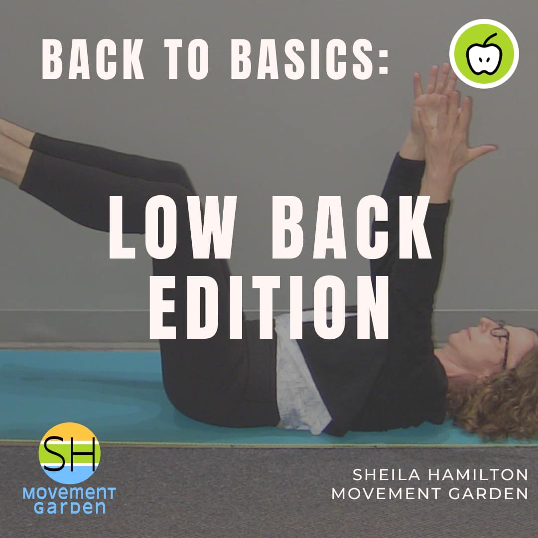 Back to Basics Low Back - Generic