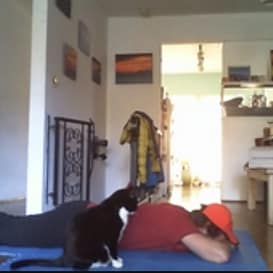 Aaron and cat playing hide and seek enjoying a Zoom Pets Session at Sheila Hamilton Movement Garden