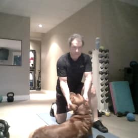 Gerry & Stanley Puff Gerry & Stanley Puff enjoying a Zoom Pets Session at Sheila Hamilton Movement Garden