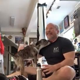 Rob & Fergus Rob & Fergus enjoying a Zoom Pets Session at Sheila Hamilton Movement Garden