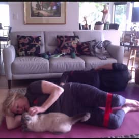 SH Zoom Pets 2 Kathy Wrightson and her cat exercising with Sheila Hamilton Movement Garden