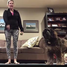 SH Zoom Pets 4 Barb and her dog exercising with Sheila Hamilton Movement Garden