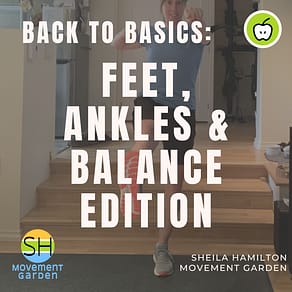 Back to Basics Feet, Ankles, Balance - Generic