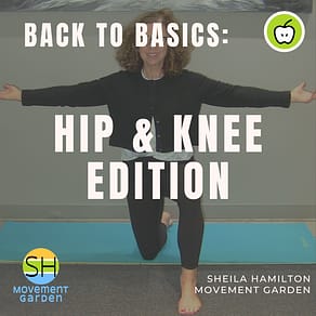 Back to Basics Hip & Knee - Generic