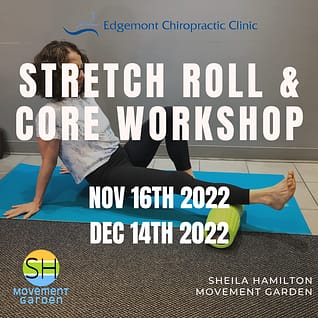 Free Virtual Fitness Workshop for Core and Stretching