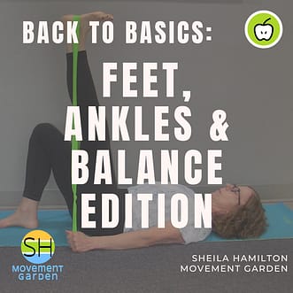 Back to Basics Feet, Ankles, Balance - Generic