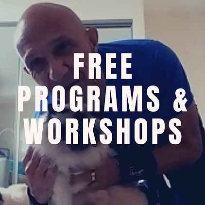 Free Programs and Workshops