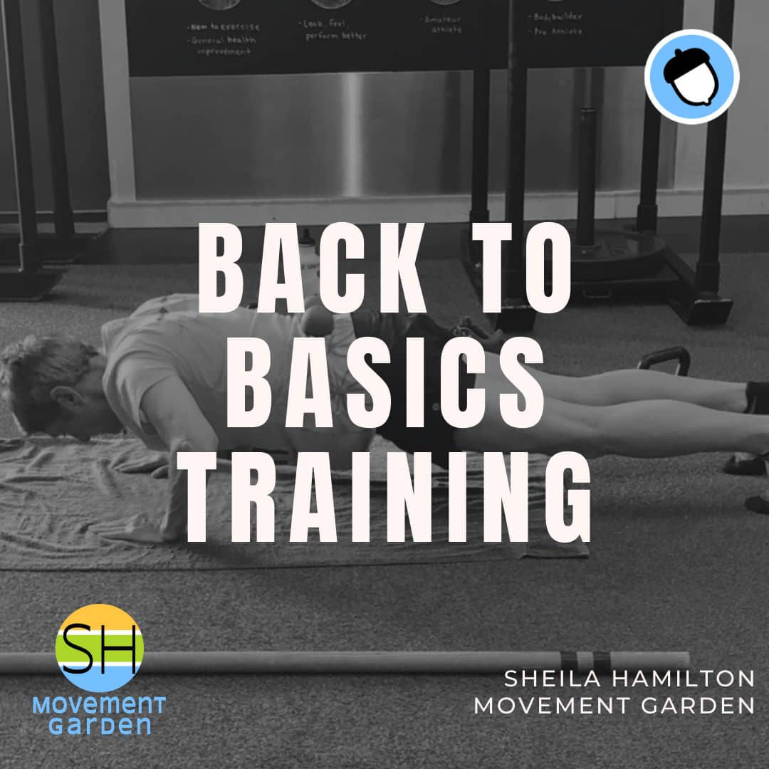 SHEILA HAMILTON Back To Basics (1) Back to Basics Training