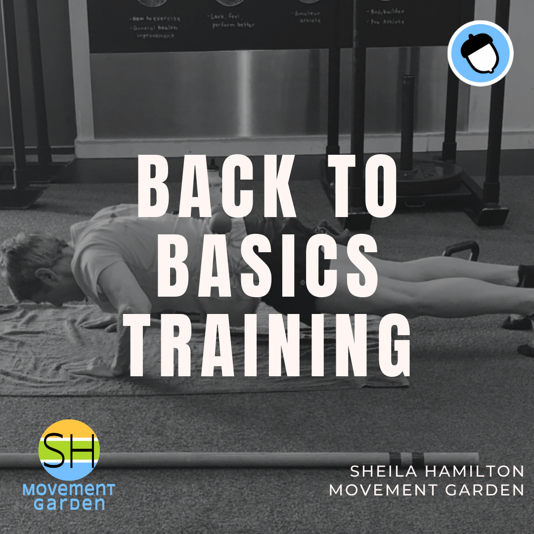 SHEILA HAMILTON Back To Basics (1) Back to Basics Training